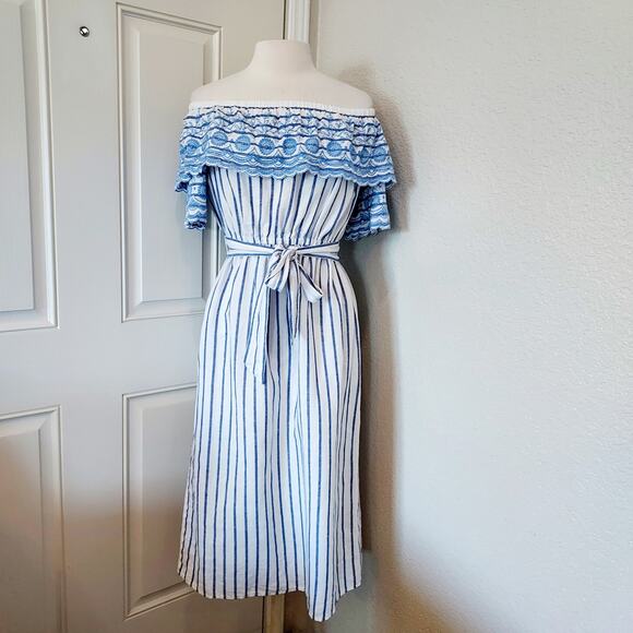 Baby Blue Embroidered Striped Maxi Dress - Picture 1 of 11
